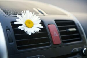 kwiatek w klimatyzacji samochodowej